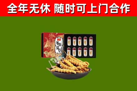 新华区回收冬虫夏草价格