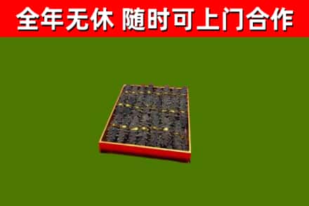 新华区回收海参